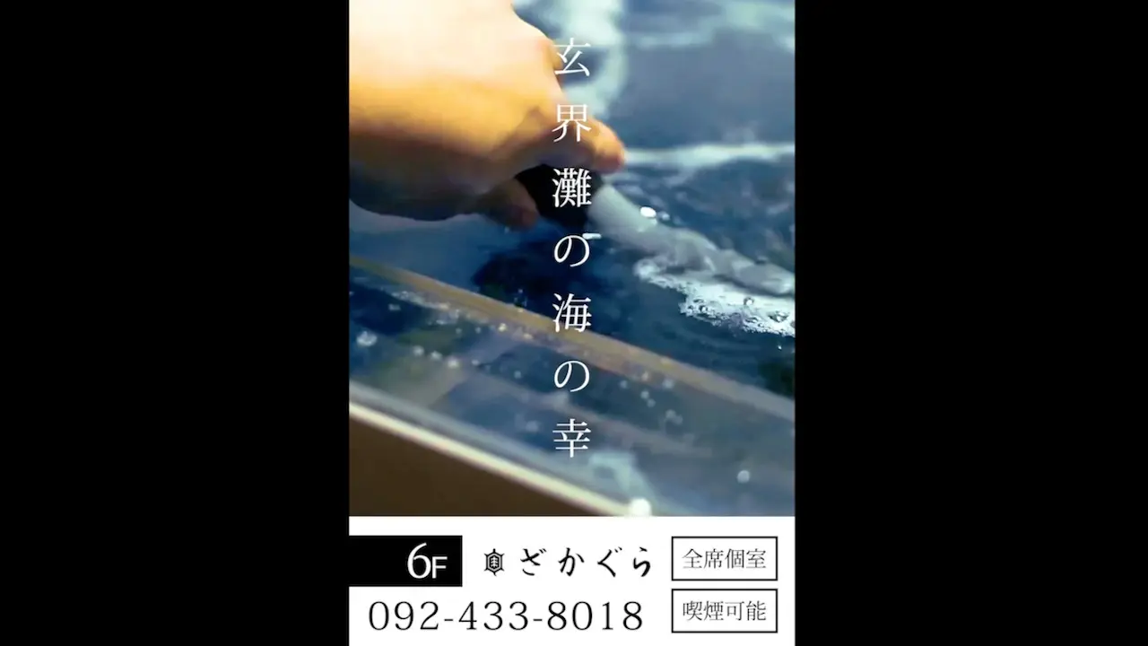 店舗PR動画